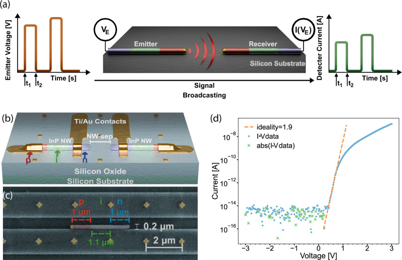 Four-panel published figure showing optical broadcasting between emitter and receiver, a two-nanowire circuit, a false-colour electron micrograph with scale bars, and measured current-voltage response.